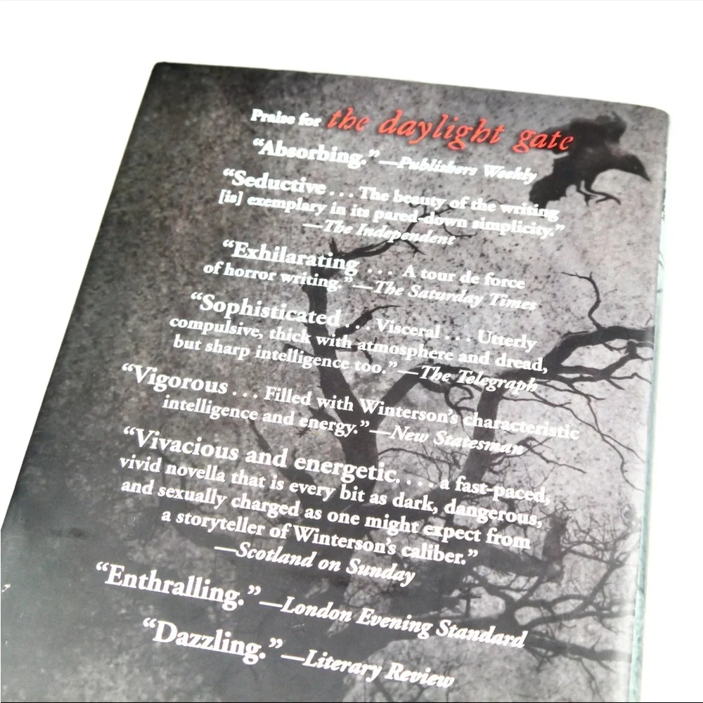 The Daylight Gate hardcover - Picture 4 of 6